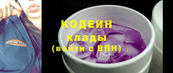 хмурый Богородицк