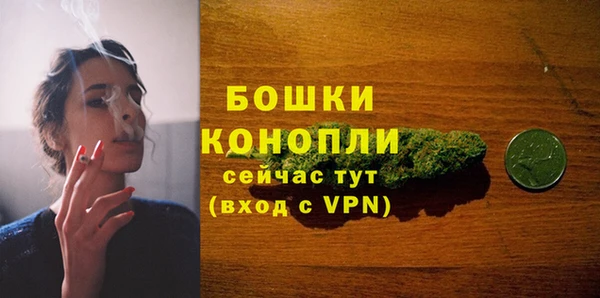 хмурый Богородицк