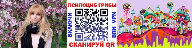 как найти закладки  Кола  блэк спрут tor  Псилоцибиновые грибы Psilocybine cubensis 